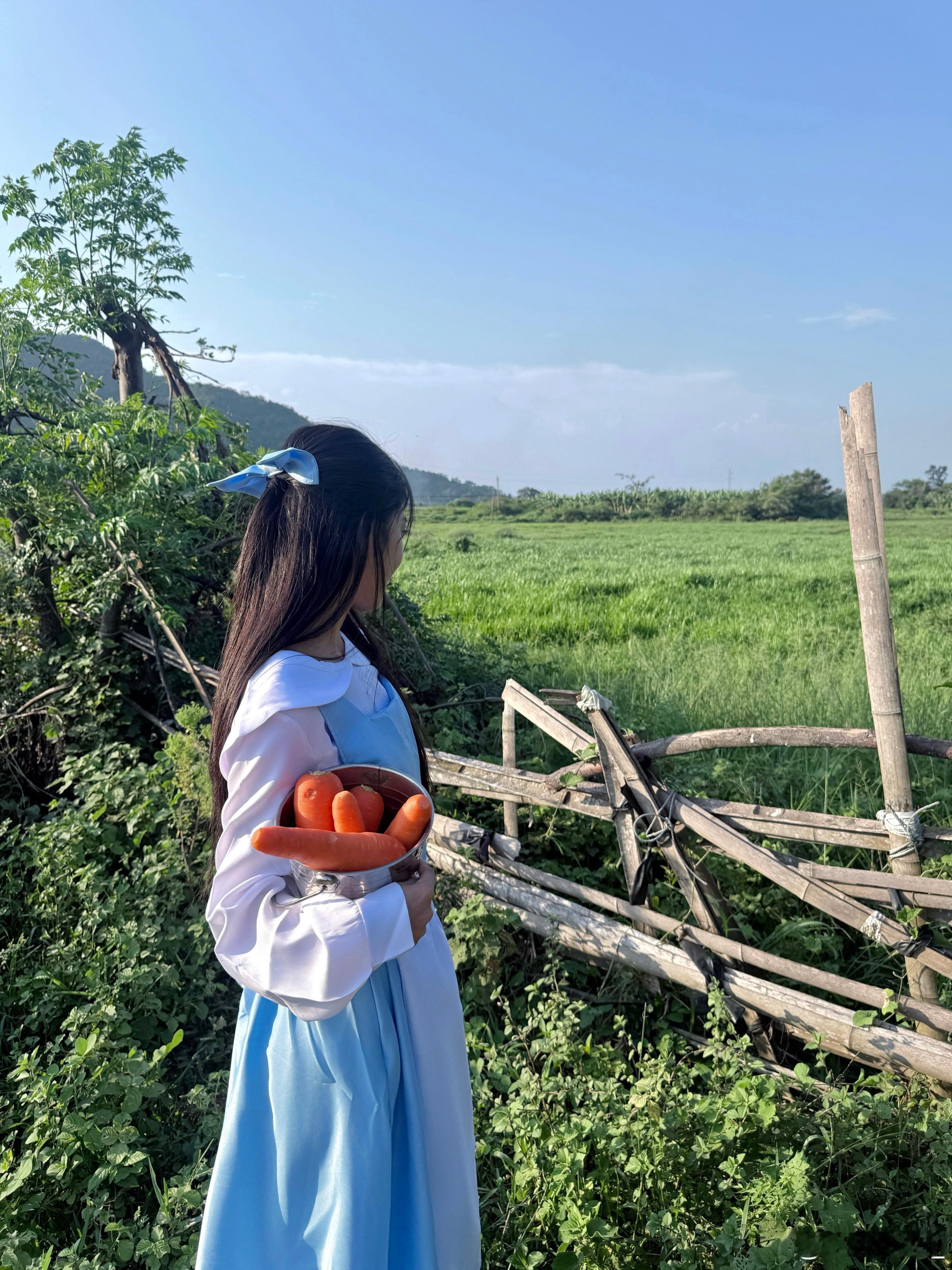 🐮🐤🐣农场做工的一天👩 站在牛群里有点危险 即使农场主🧑🌾在旁边也不