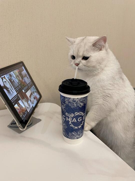 室友老是偷喝我奶茶怎么办！