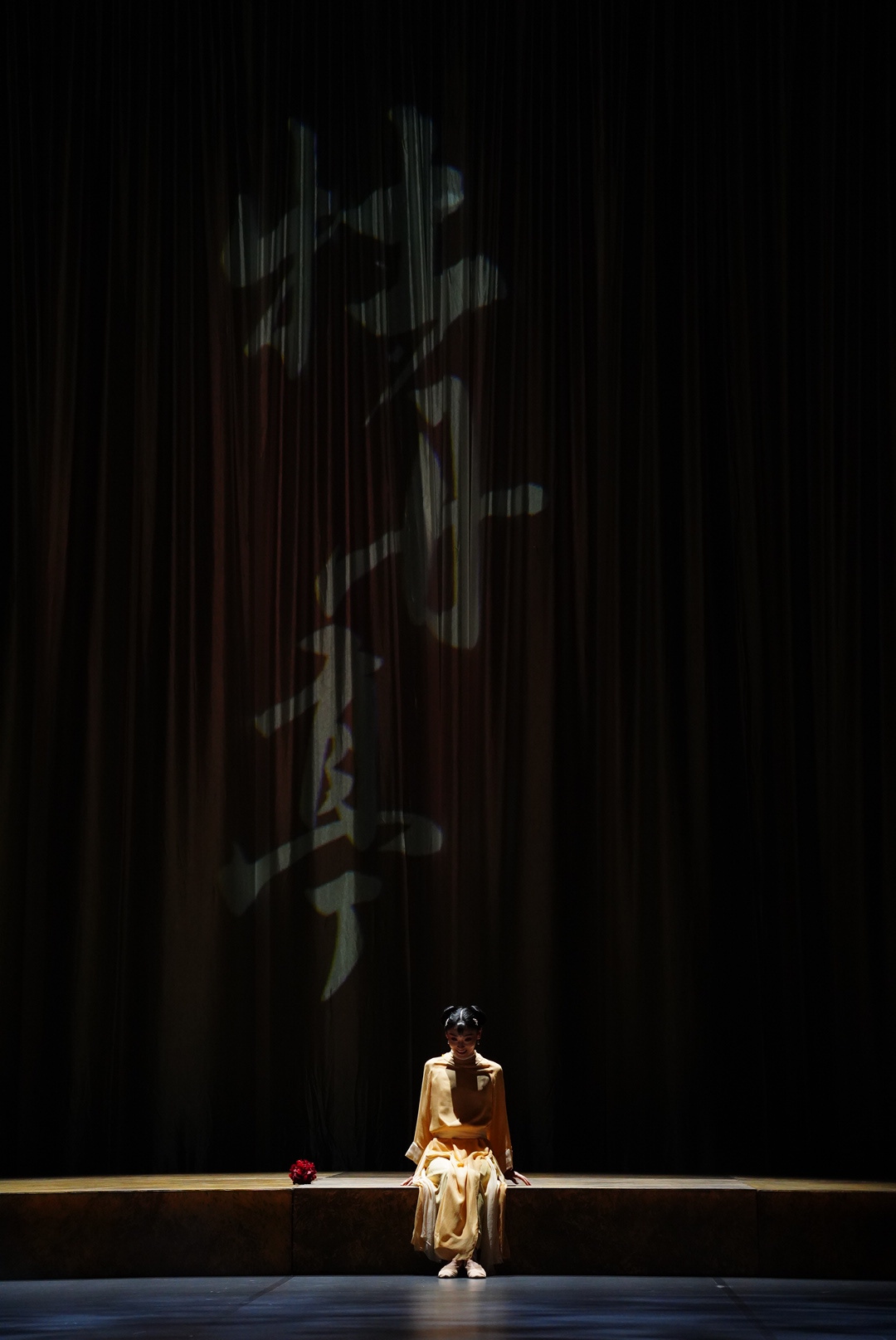 舞剧牡丹亭连看了四天，终于迎来了百场。结尾改成了首演时的样子，春香和花仙探出头的