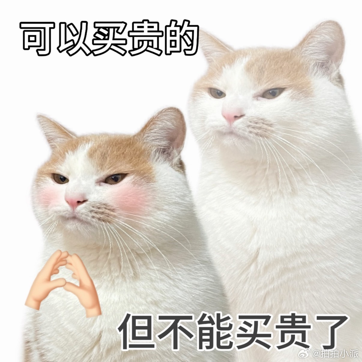 国产手机突然降价2000元，每年618降价也是固定节目了，去年我二月份换手机89