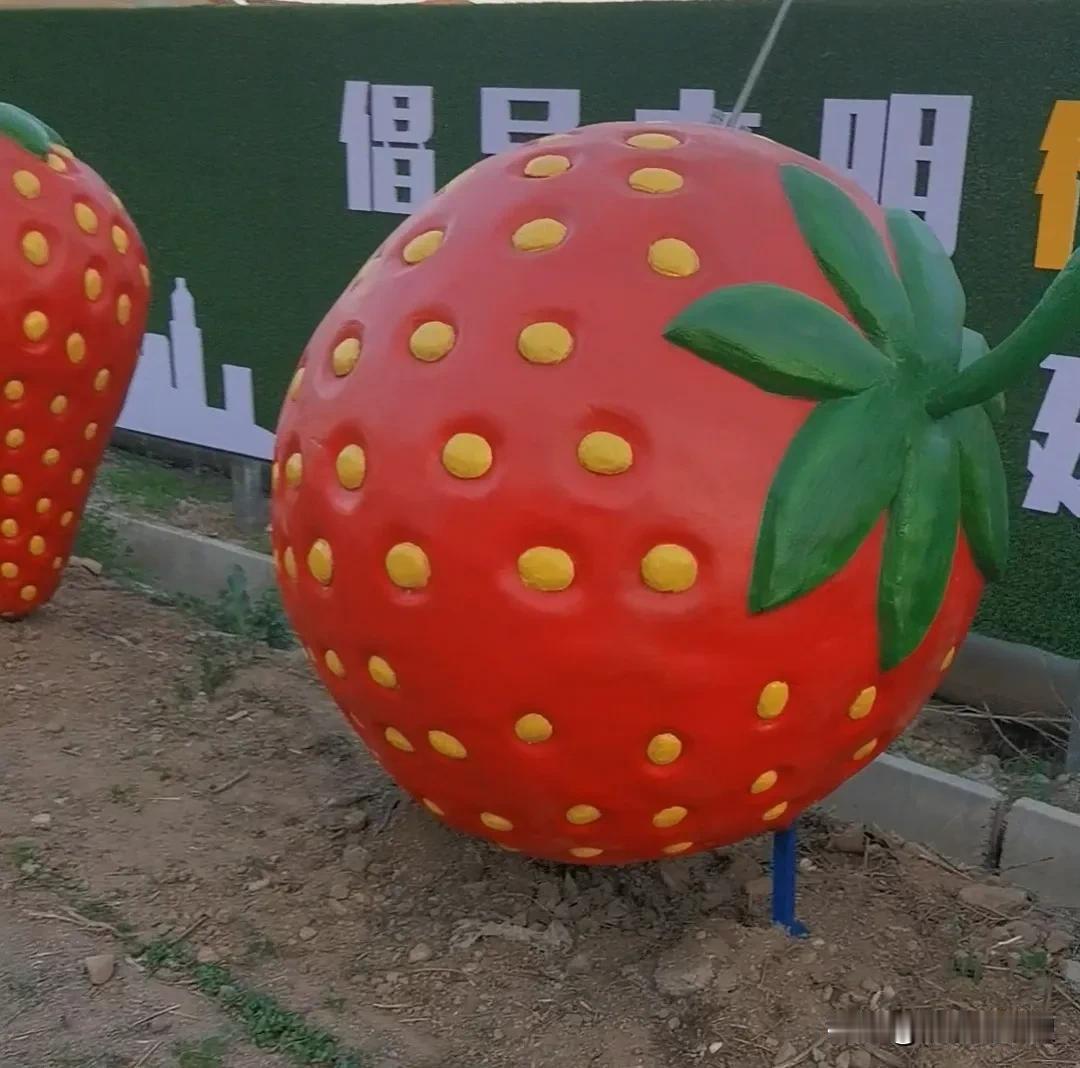 正在变美的乡村！
大白菜、草莓、大葱、蓝莓都是我们的特产，勤劳就是我们小镇人的特