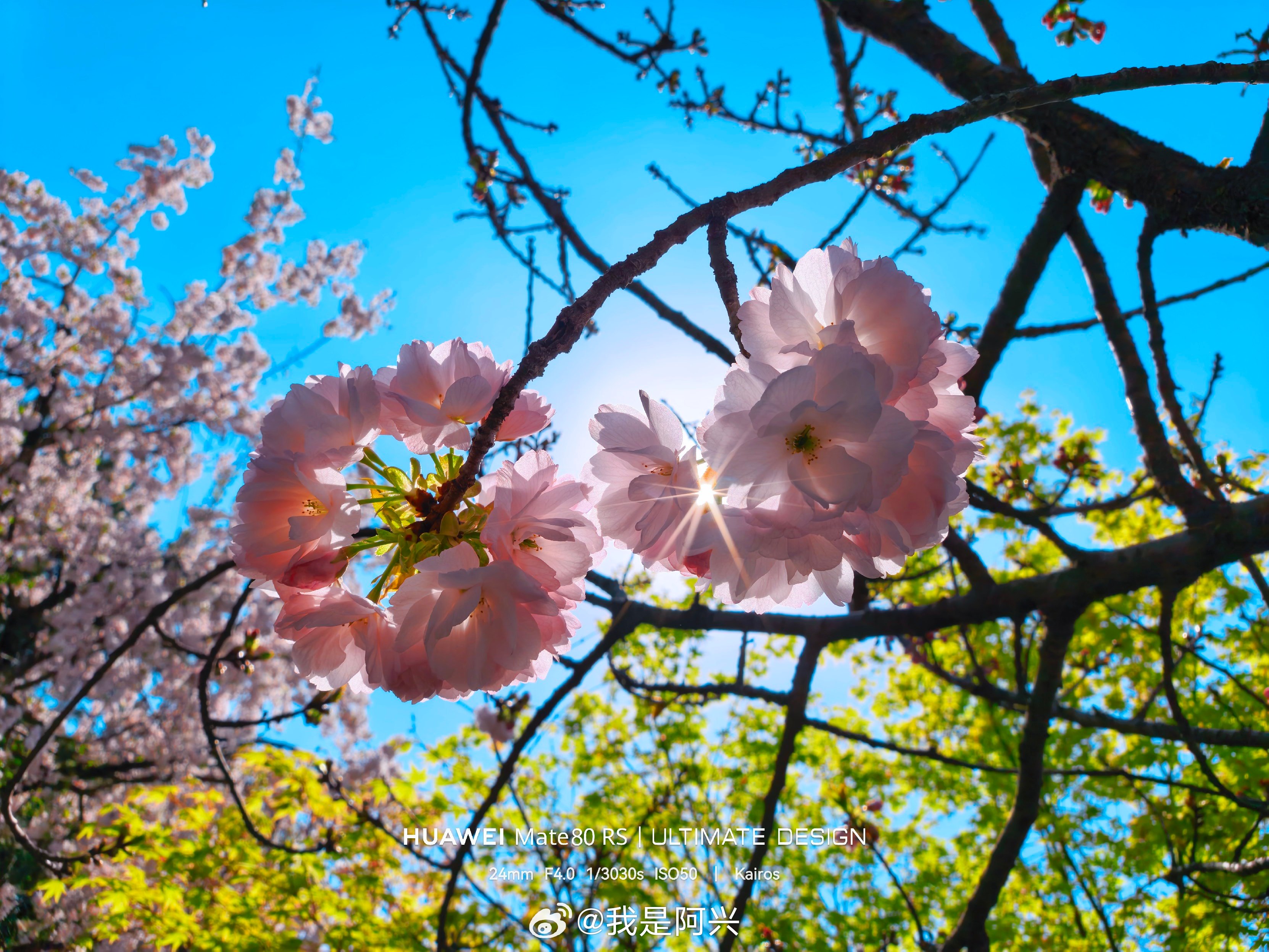 早☀️每日早起打卡