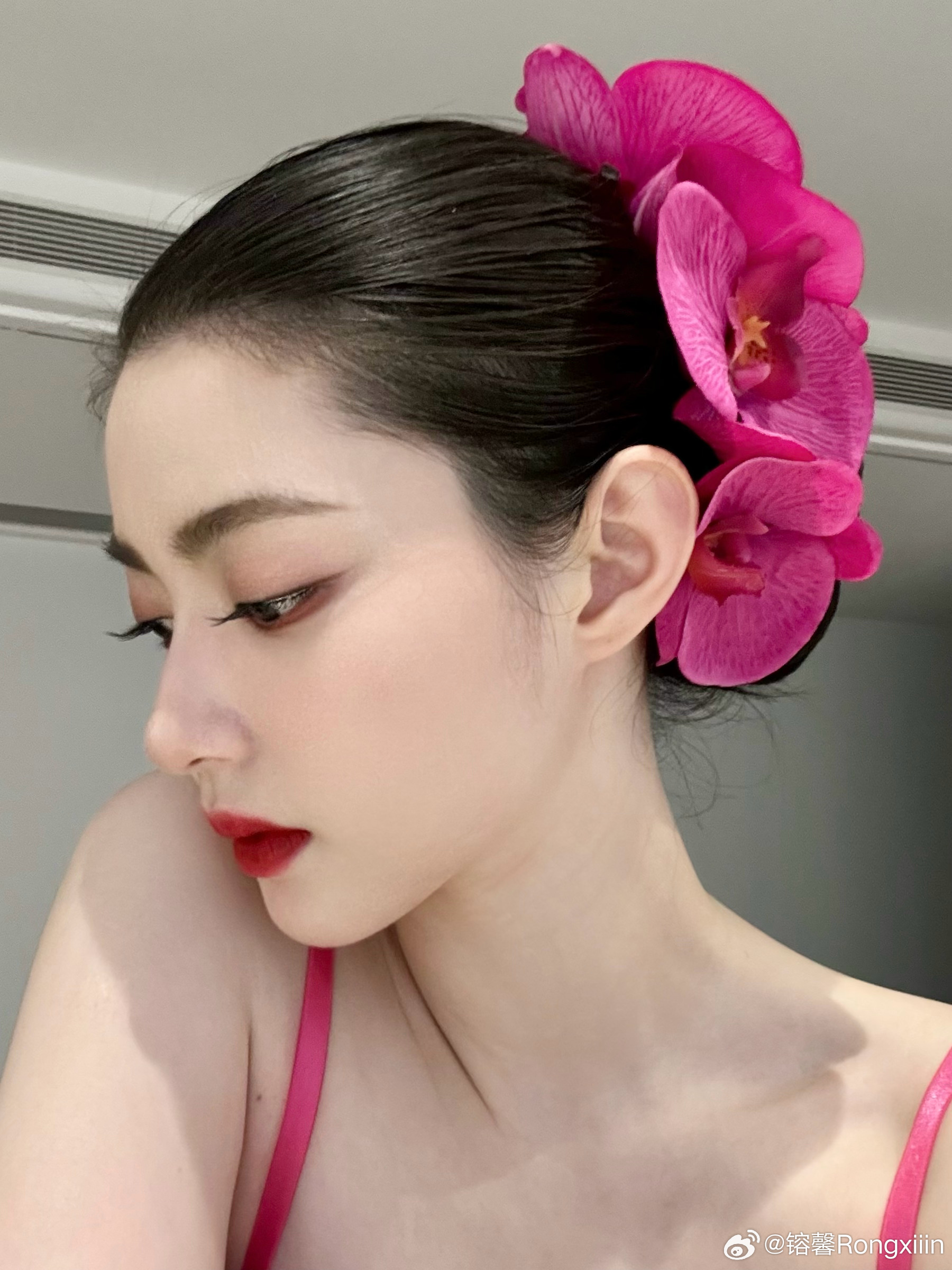 今天是明艳蝴蝶兰 