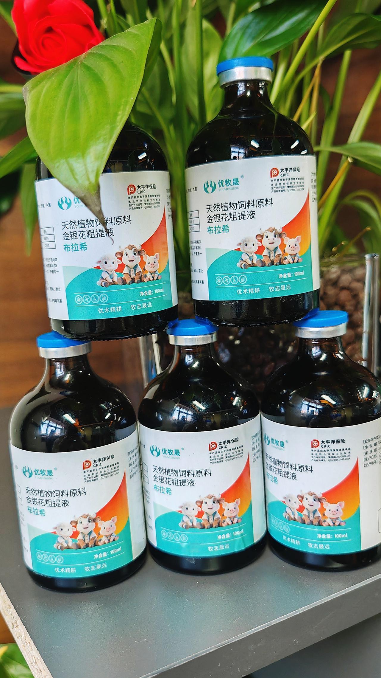 养羊人 农村养羊