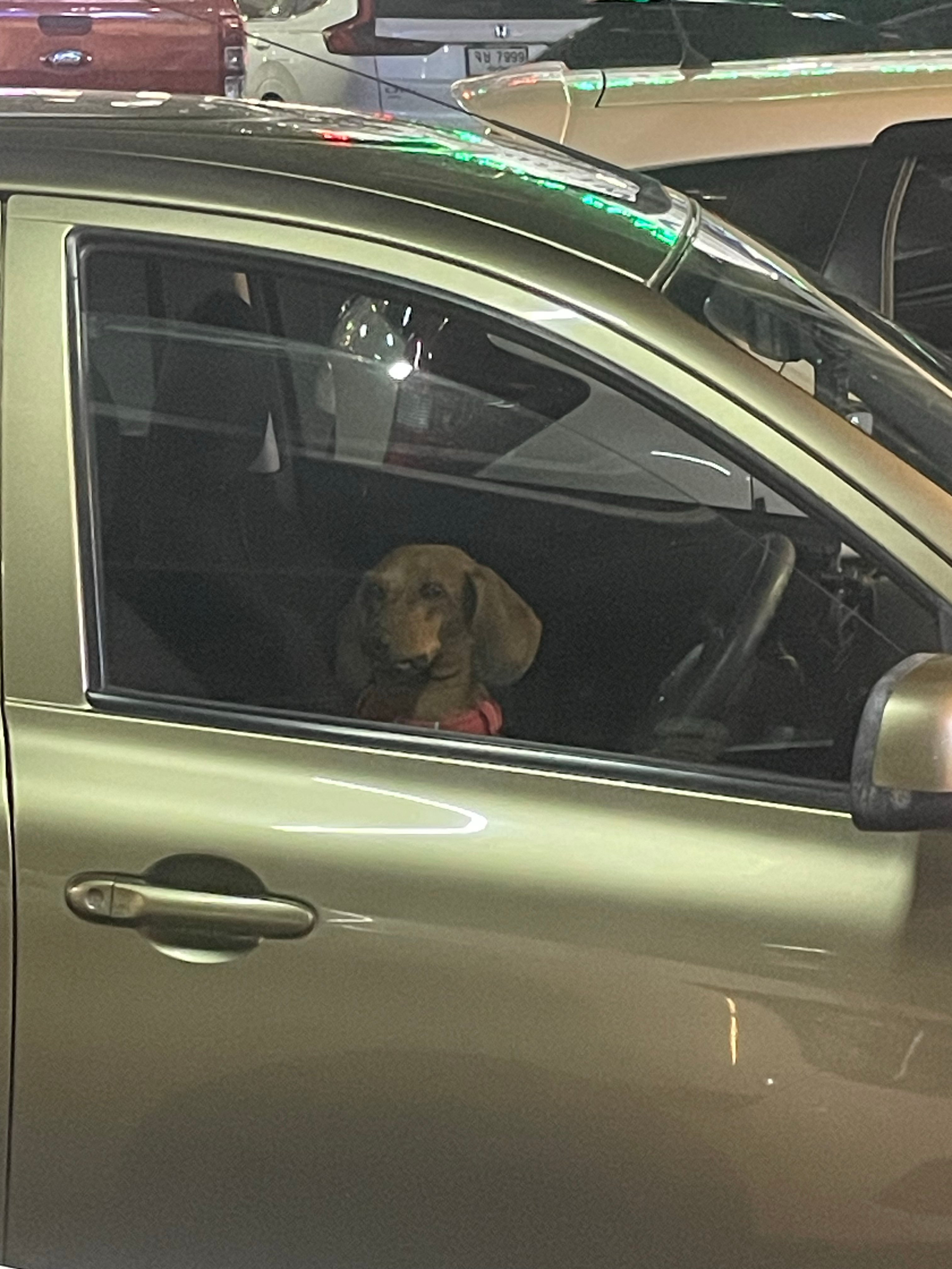 看好我们的车哦 
