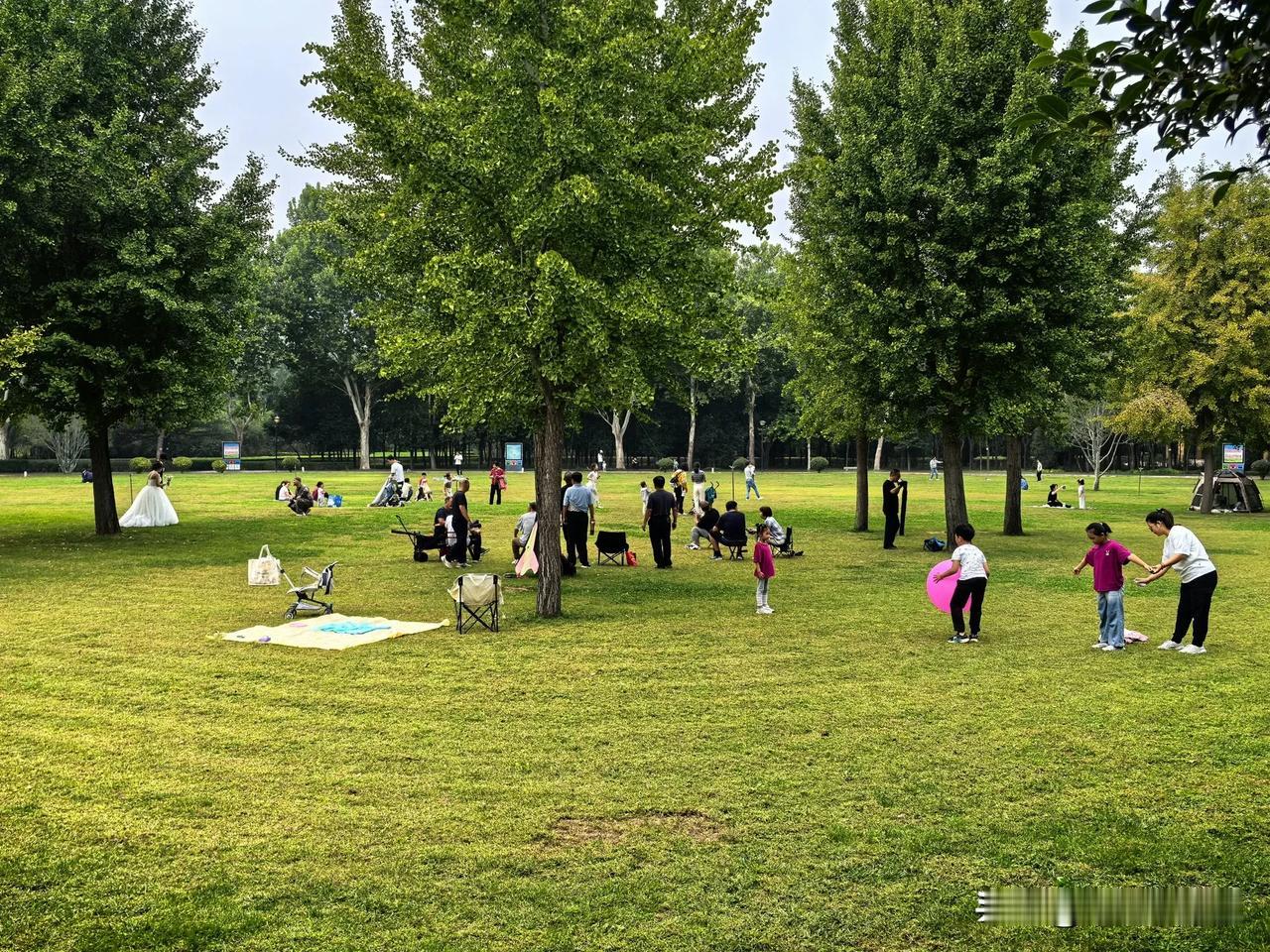  达活泉公园。国庆节假期市民休闲娱乐的好出去。