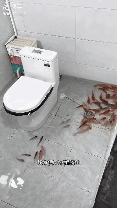 看看养鱼达人换水的妙招！[赞]