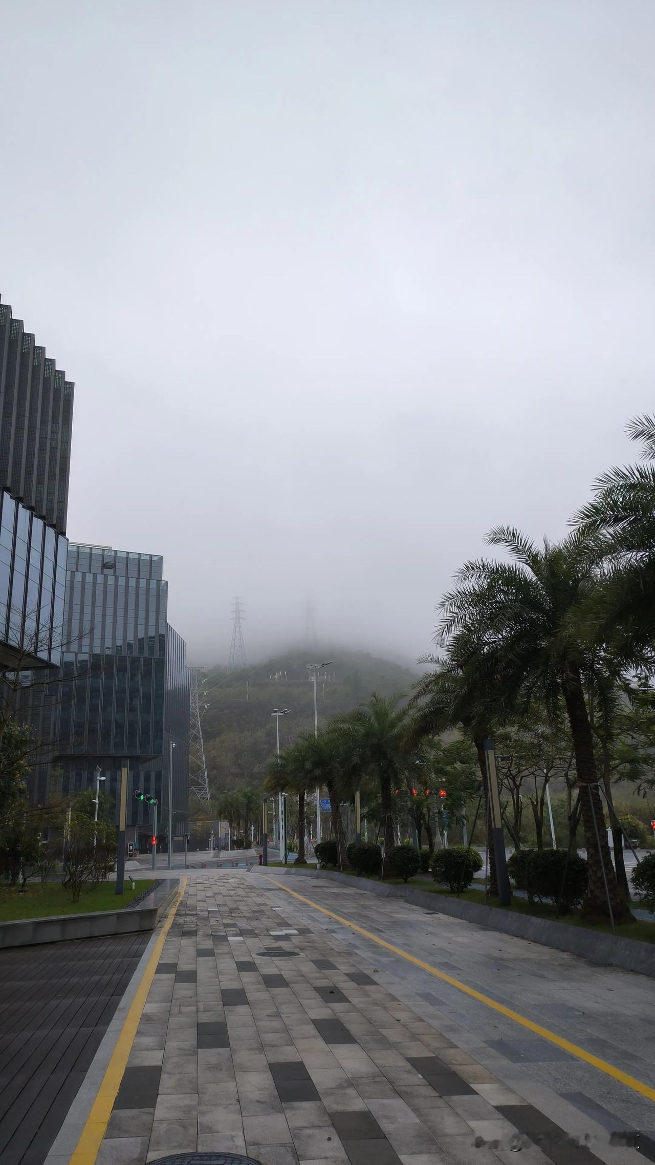 今日惊蛰，又是雷锋纪念日。出来做好事啦。
赋诗一首:
细雨润田助苗生，
惊雷震地