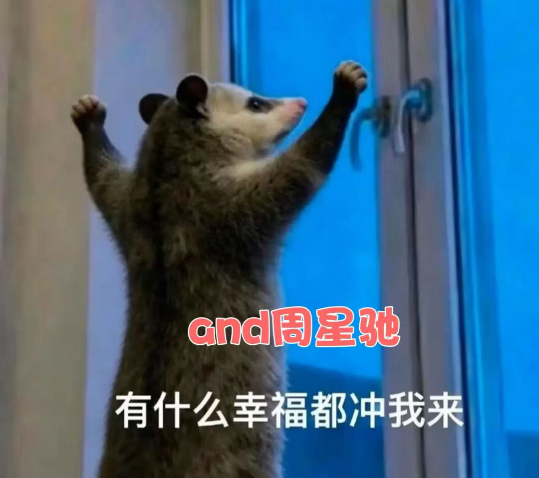 没有比周星驰更爱观众的人了很多导演到了花甲之年选择安享生活，周星驰依旧不停突破自