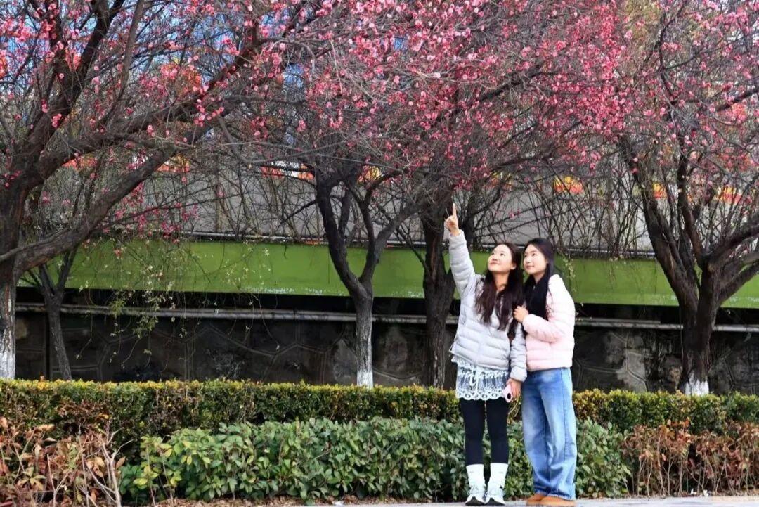 🌏 国内要闻（2.4）
 
- 央行大额逆回购加量：开展8000亿元3个月期买