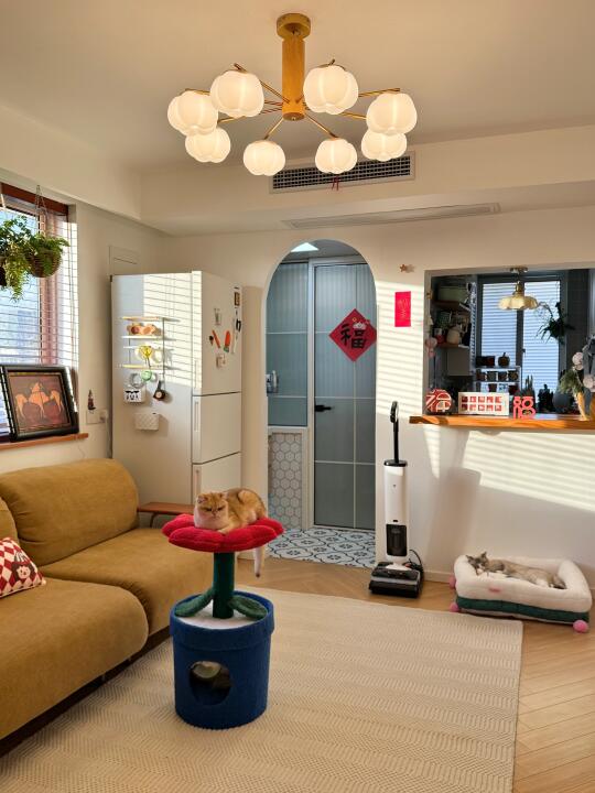 51平小家，干干净净就是最好的风水！