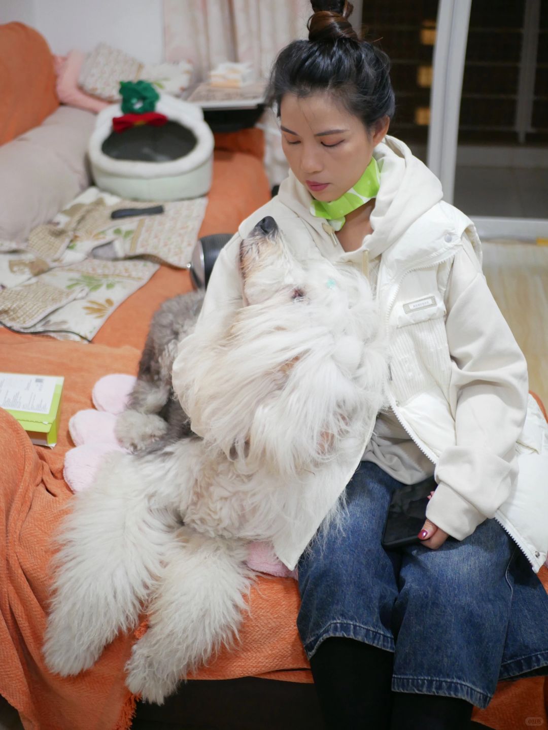 铲屎官冬天的暖宝宝