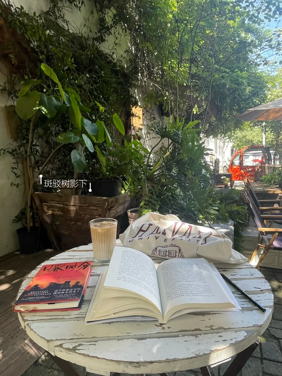 突然意识到，不停地读书是为了停止情绪内耗