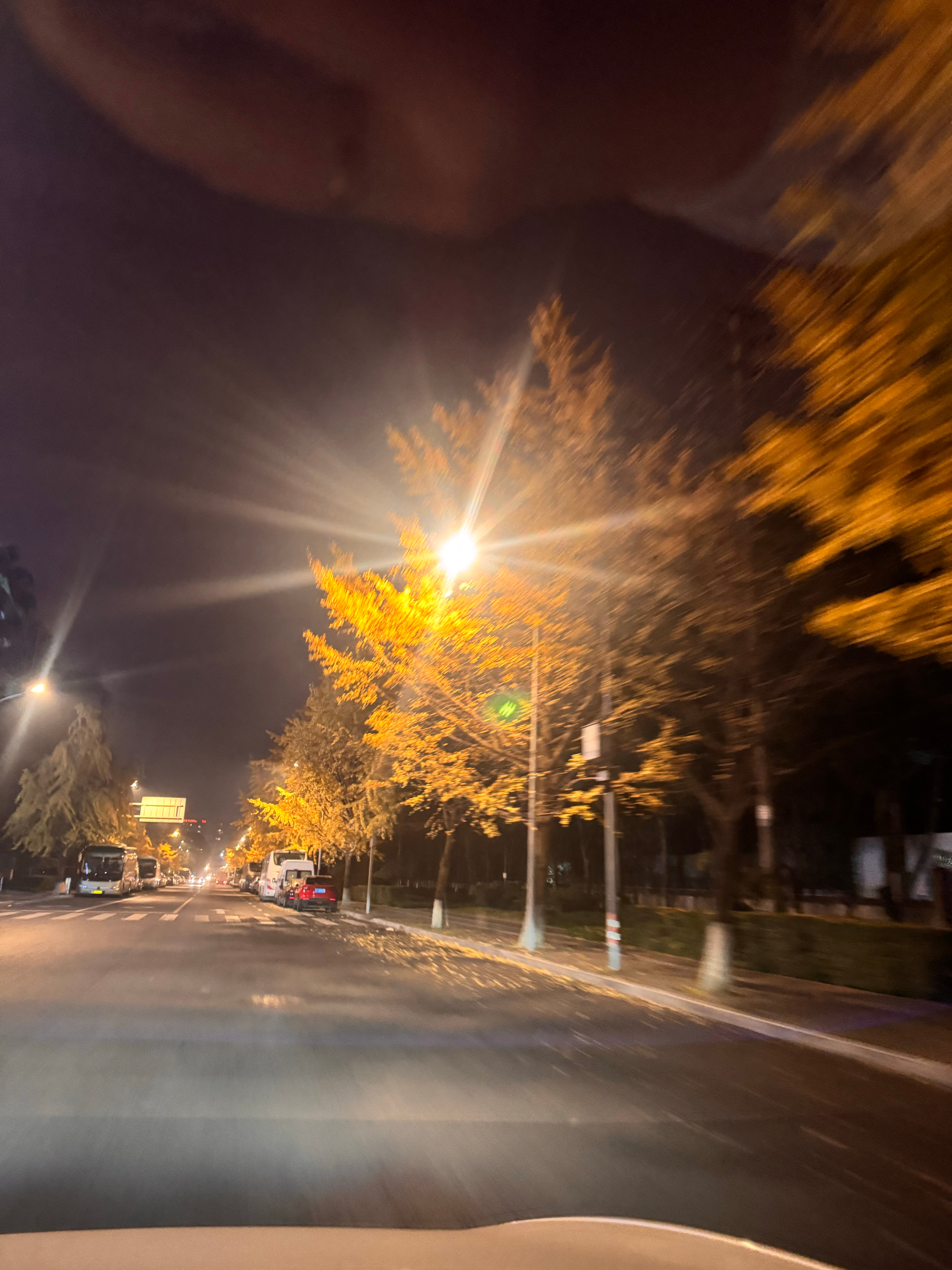 好有氛围感好美哦😍我等一个晴天要去拍银杏！ 