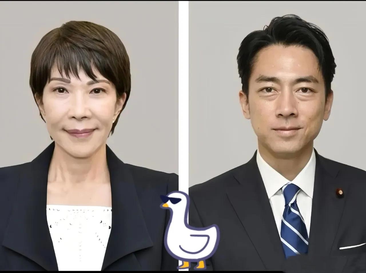 日本共同社12月6日报道
 
日本首相高市早苗及其内阁成员个人资产情况于12月5