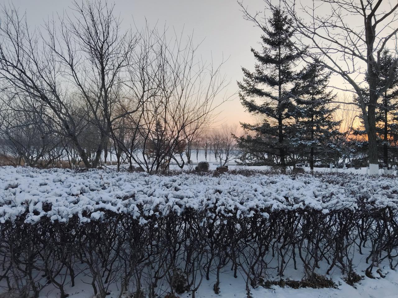 班主任贾霞因为学生宿舍火灾被判刑6年引发争议！

2024年1月19日河南方城县