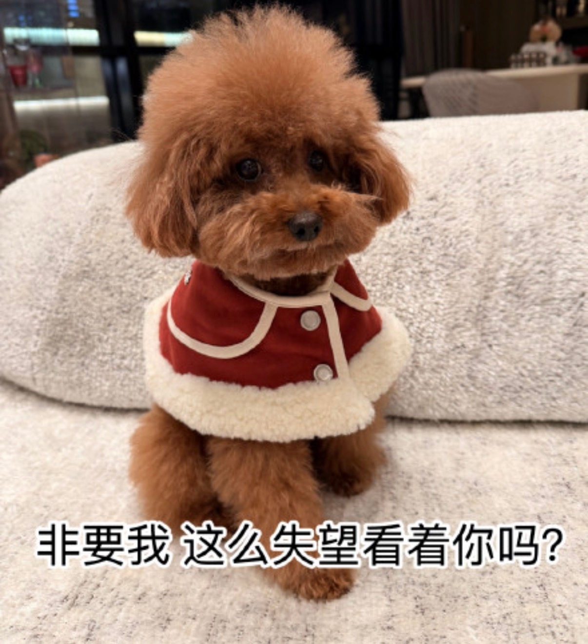 娜扎 姐姐不翻我 我belike： 