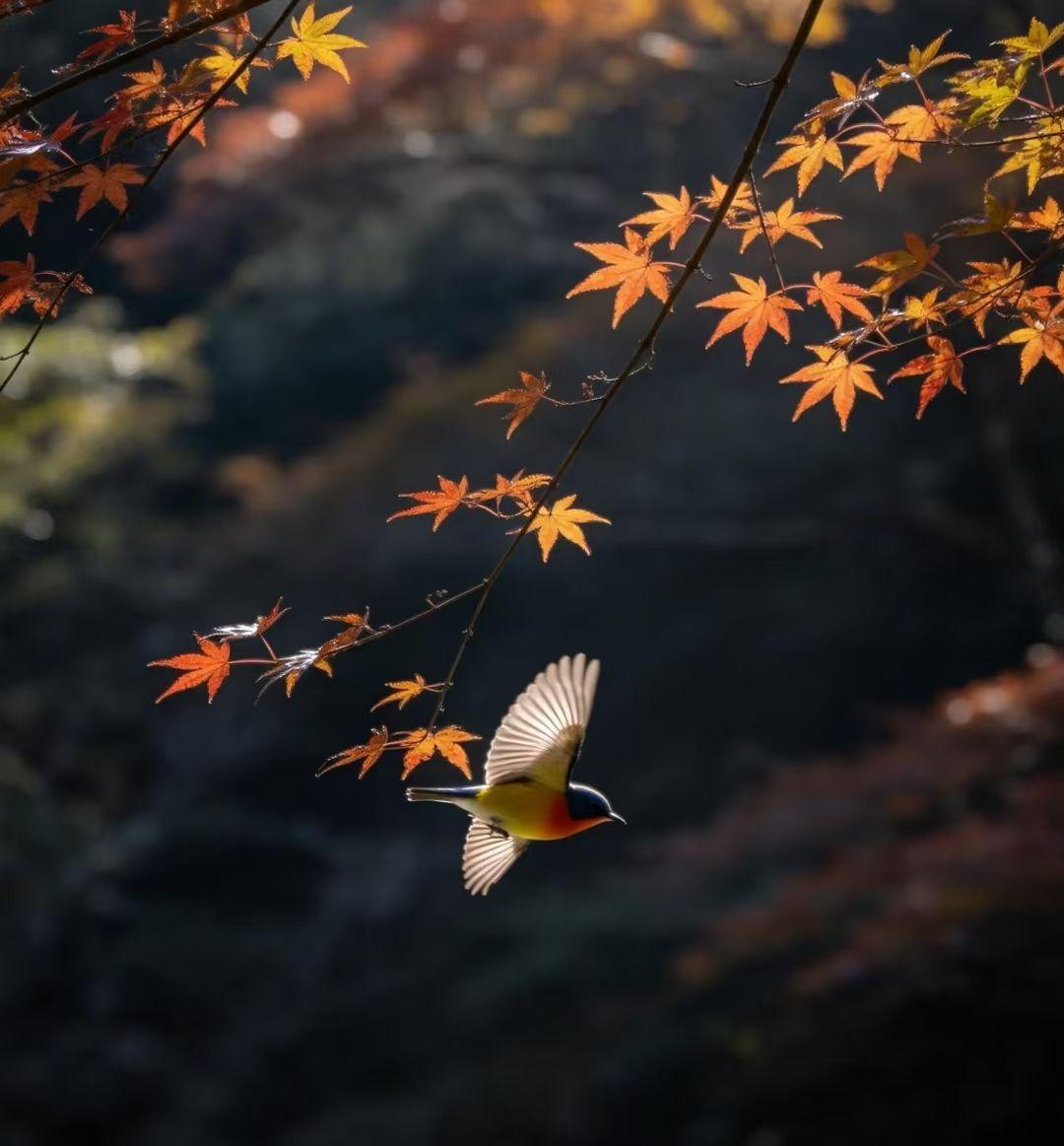 人性现实：
❶缺钱的人，都不小气，
小气的人，都不缺钱。
❷有本事的人，不要面子