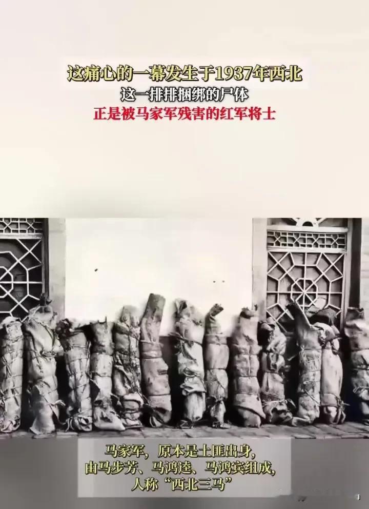 1937年，被马家军残害后，红军师团级干部的遗体，排成一排，被捆了起来，放在墙边