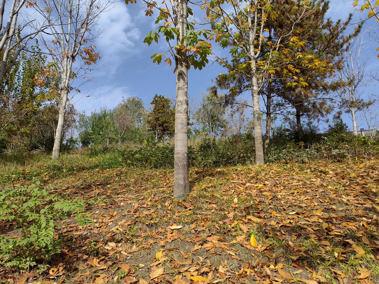 单位办公室主任的三大作用：第一是服务领导，通过服务好领导来服务单位；第二是上通下