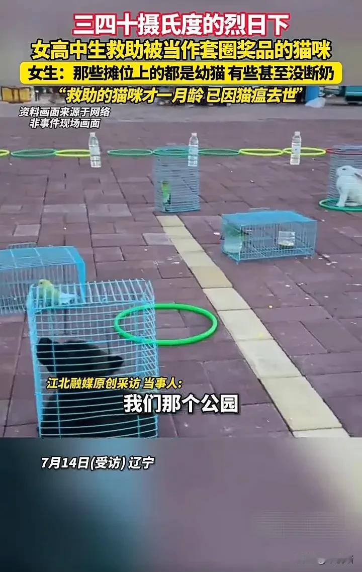 太可悲了！近日，辽宁一名女生发视频称，自己在逛公园时，发现有很多套圈的摊位，都把