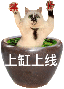 我再重申一遍，我不仅不磕cp，我是恶心。 