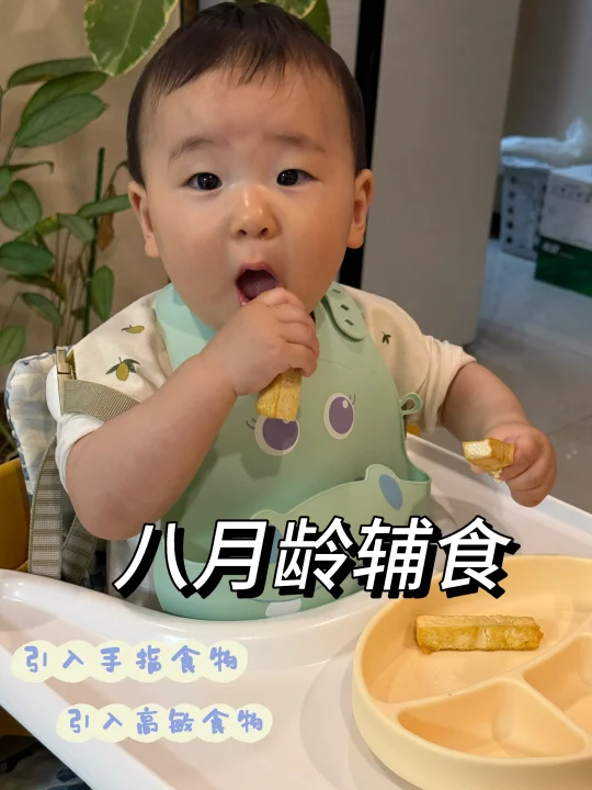 八月龄辅食安排/引入手指食物🤌🏻