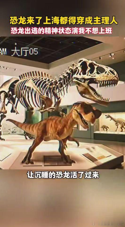 恐龙来了上海也得穿成主理人00后已经来整顿文旅界了，居然让恐龙来当旅游vlog博