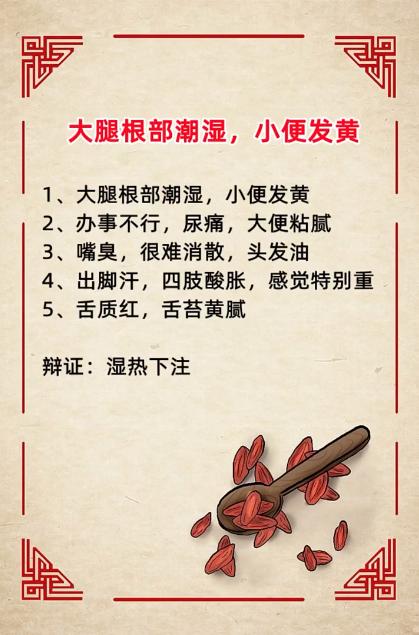 湿热下注有哪些症状表现~