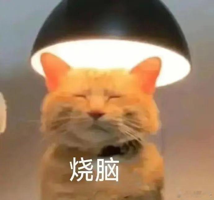 有位同事根本带了不了手表，只要一出汗，带手表的手腕就发痒起红疹，不管是哪种手表，