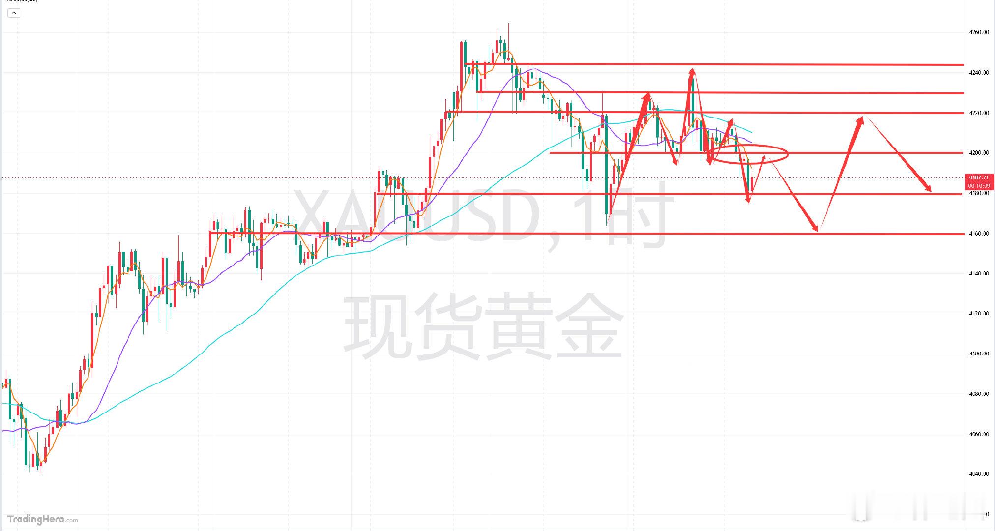黄金分析及日内操作指引：从昨日的黄金走势上看，在亚盘靠近4230位置后再度承压，