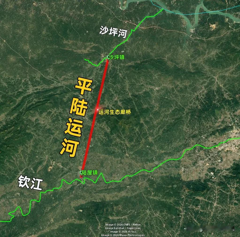 中国平陆运河上的一座桥火了，禁止人车通行，专为小动物服务！


你见过一座桥，花