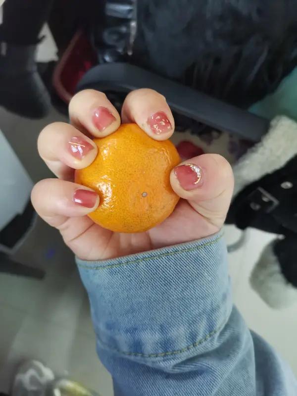 家人们，你们听说了吗？一家四口外债20万，俩娃要养，她不上班，却跑去买洗碗机、做