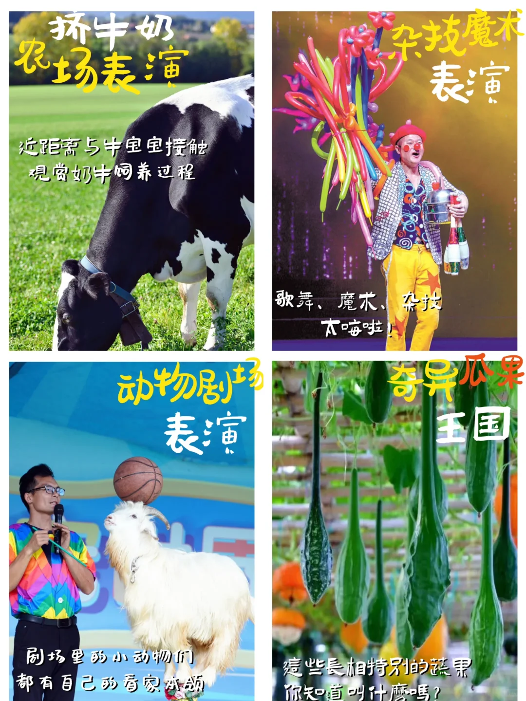 深圳秋游新方案✅家委妈妈抓紧收藏‼️超好玩