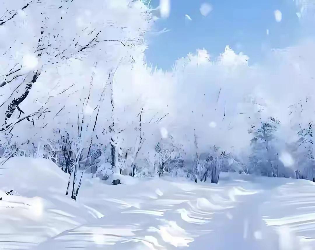 雪是人类忠诚的朋友。雪落无声，却藏着最纯粹的美好。它用一场洁白洗去岁月的尘埃，让