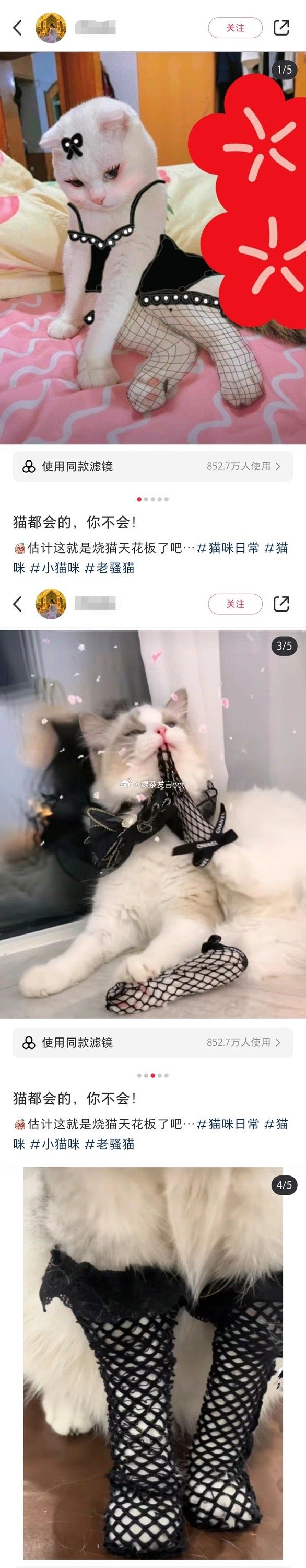 估计这就是烧猫天花板了吧[黑线] ​​​