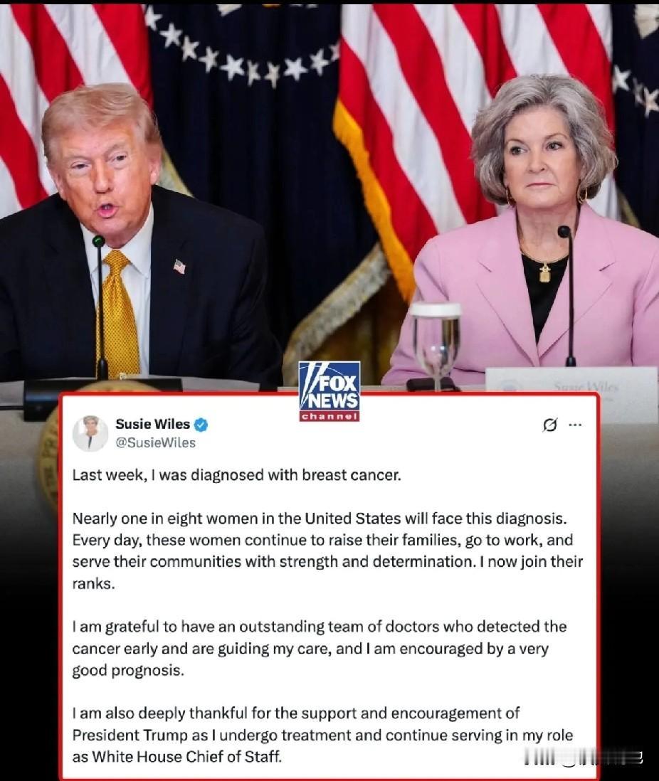白宫幕僚长苏西·怀尔斯透露，她上周被诊断出乳腺癌，并表示自己“预后情况非常好”，