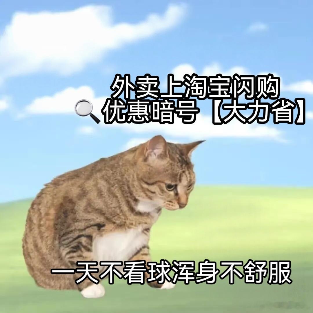 今晚葡萄牙首发出战，漫长观赛时光美食不可缺席！点外卖首选淘宝闪购🔍【大力省】，