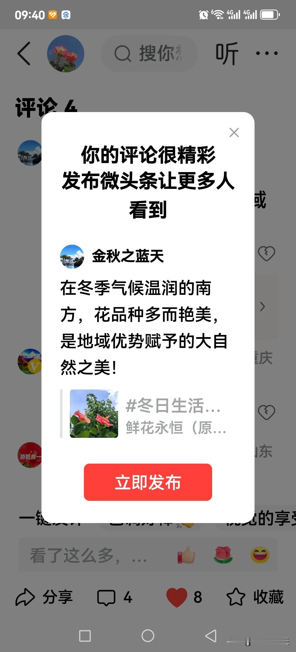 在冬季气候温润的南方，花品种多而艳美，是地域优势赋予的大自然之美！