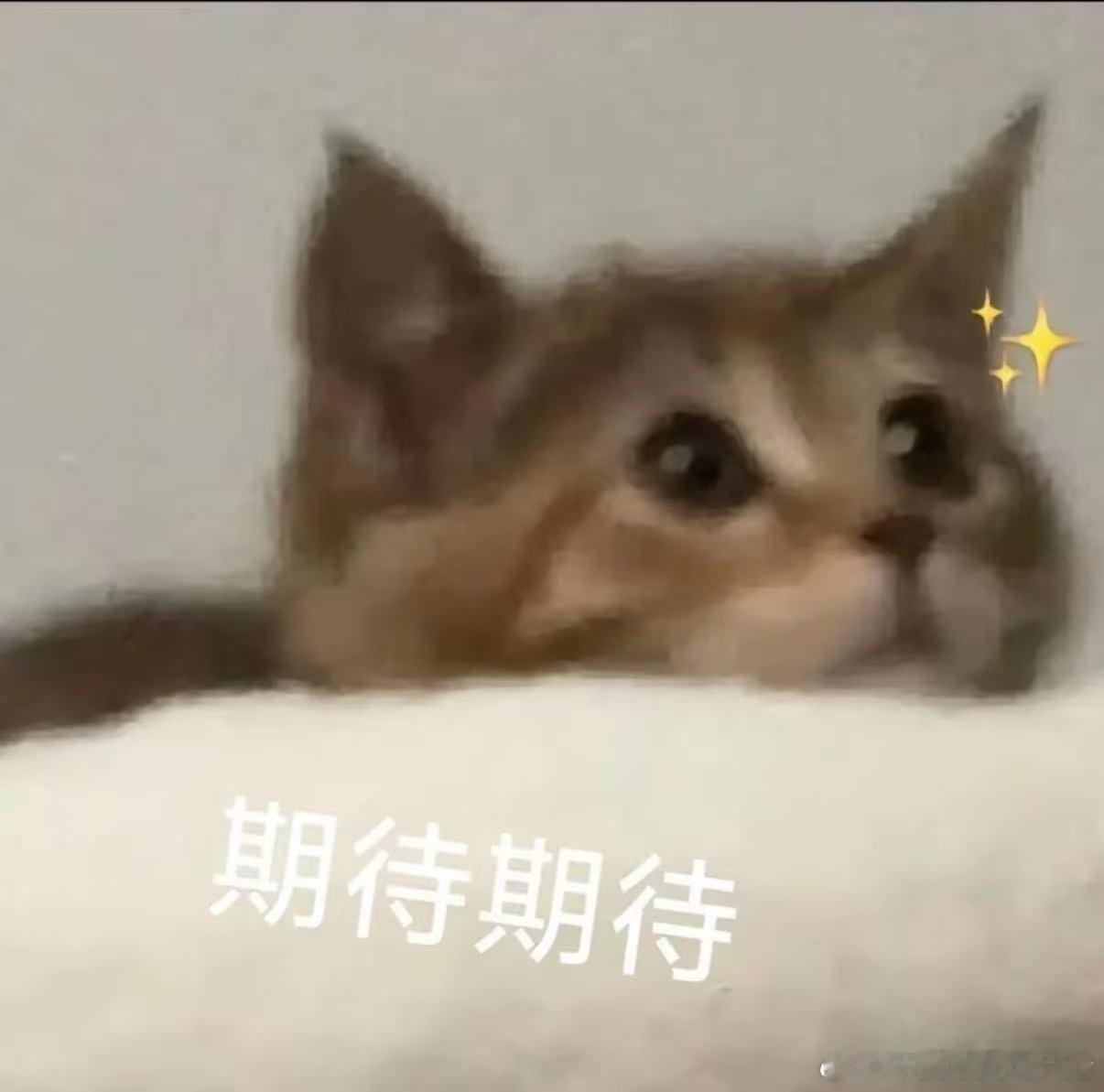 我有预感 ​​​