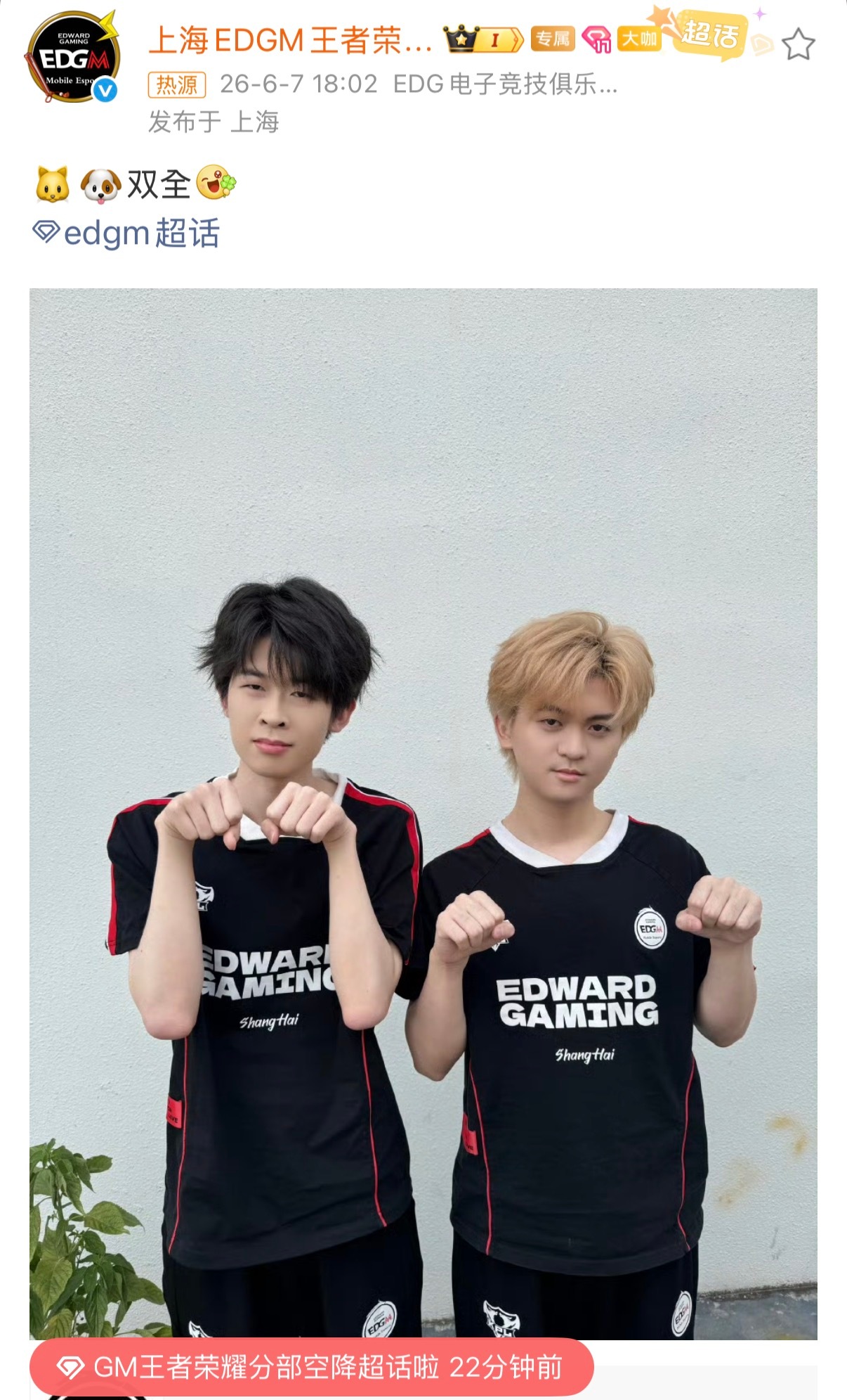 EDGM猫狗双全：🐱🐶双全