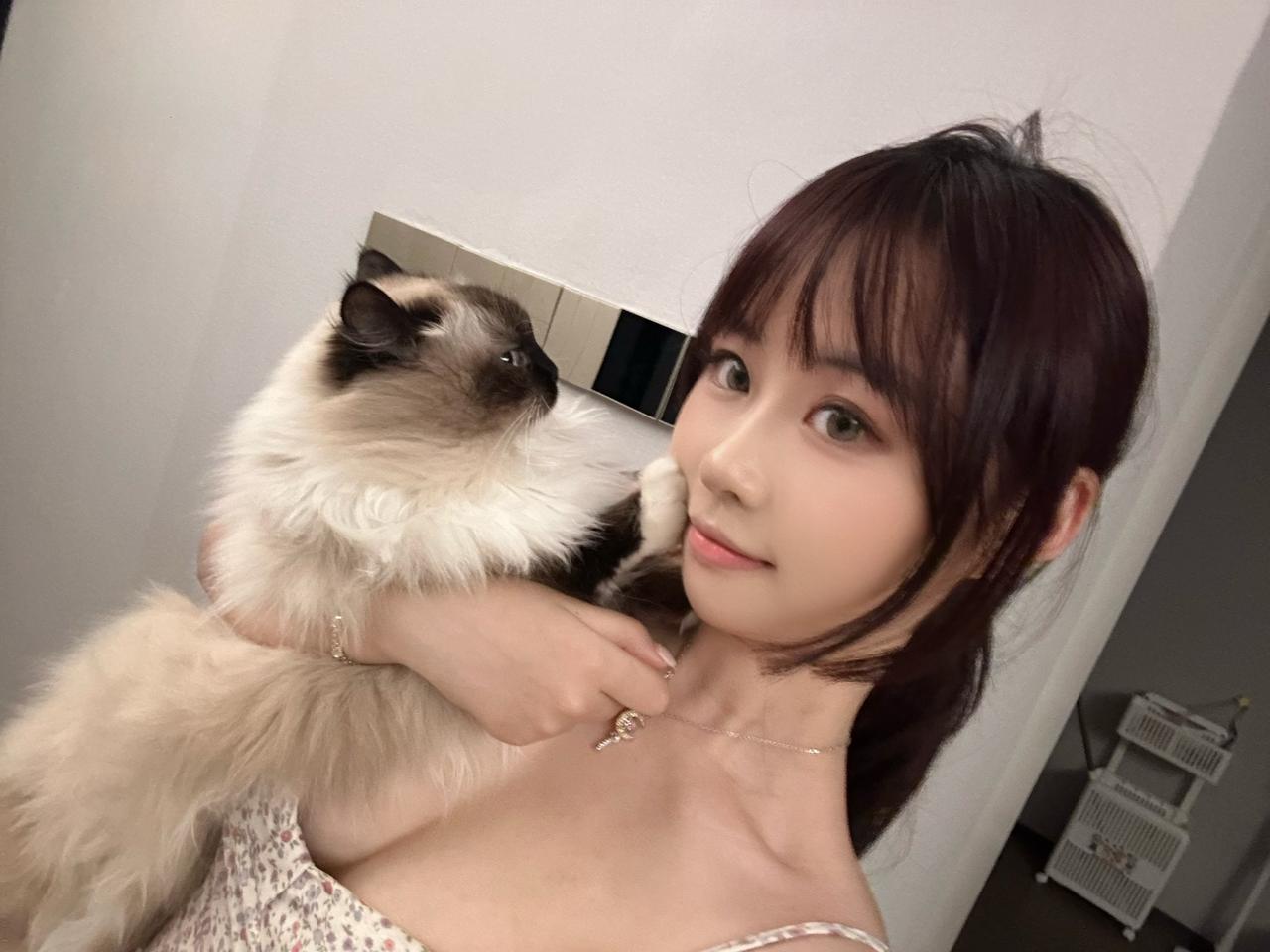 我和我的猫