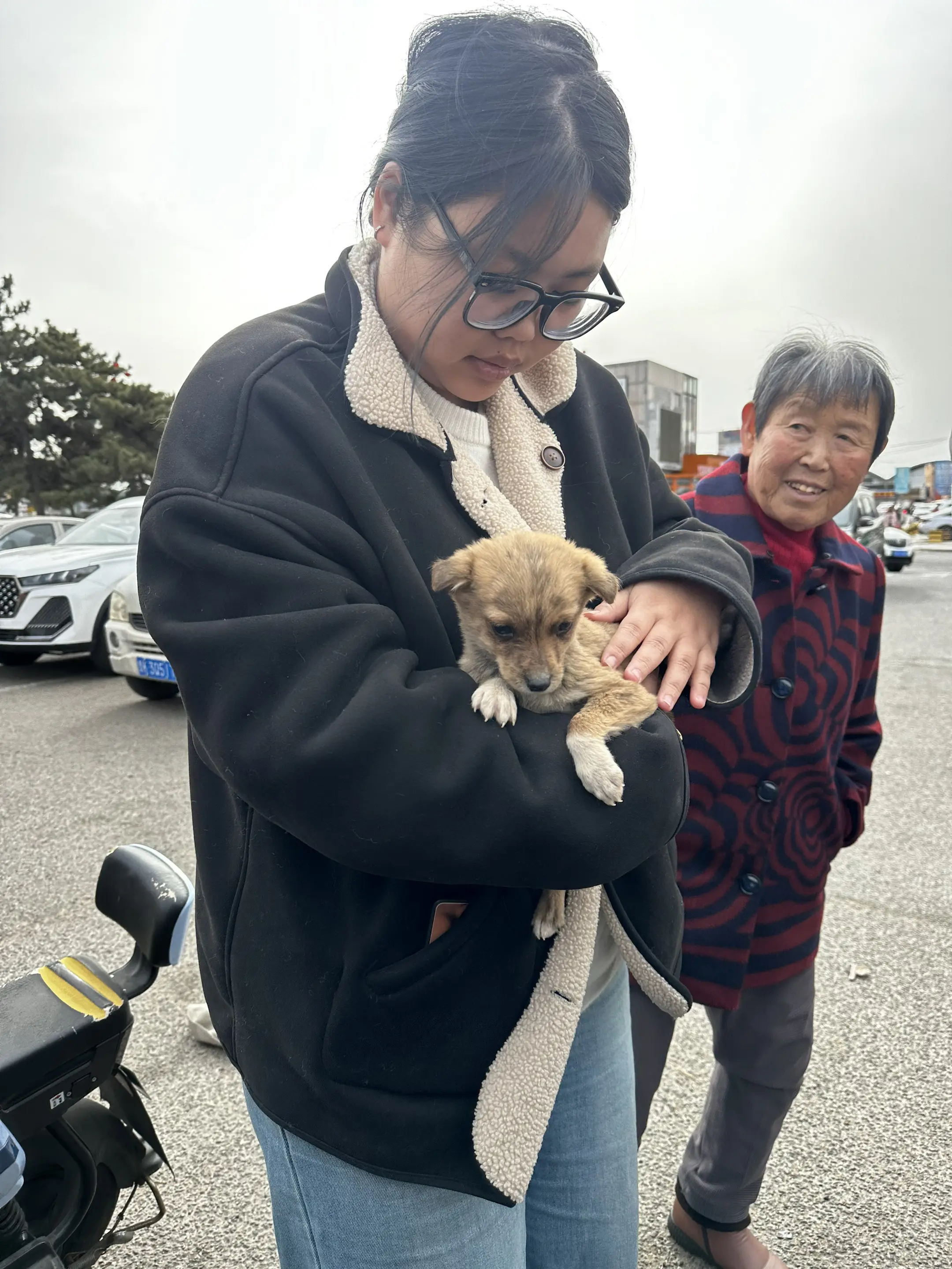 可怜的小狗狗找到了一个爱心家庭