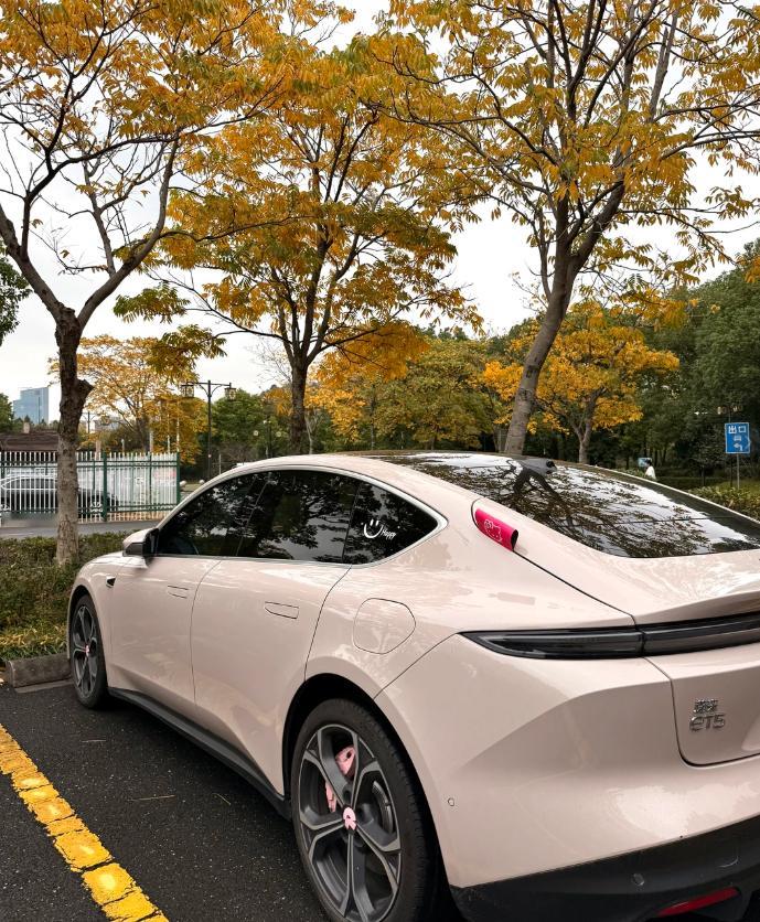 蔚来落地20多万，颜值戳中审美，三四十块电费就能跑三四百公里，性价比直接拉满～日