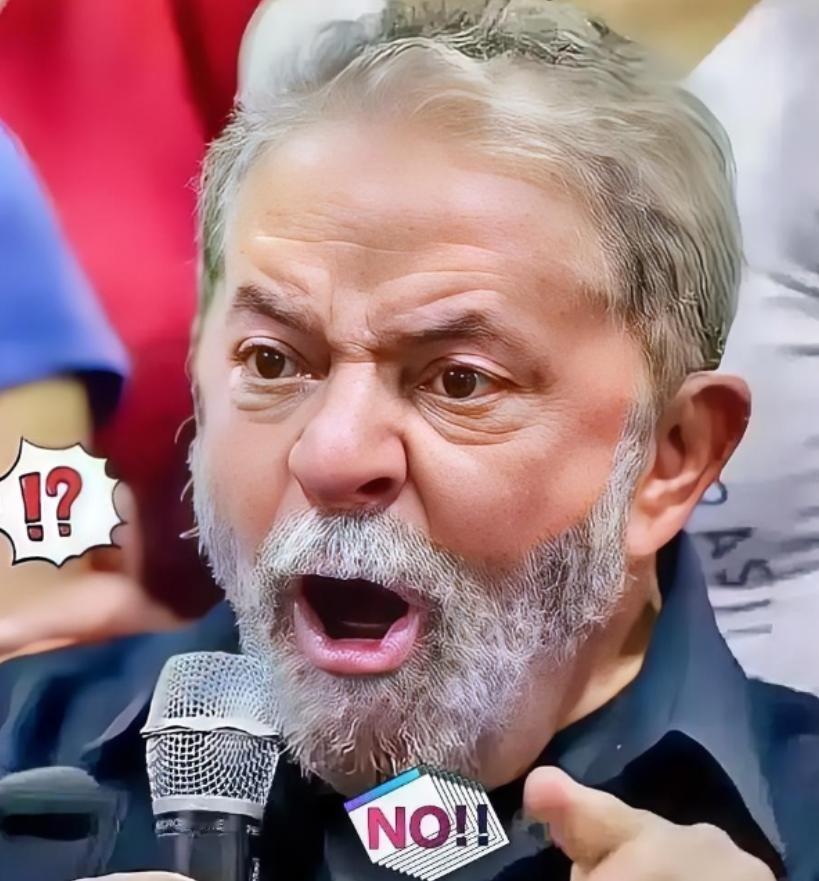 巴西对华消息！12月3日，巴西外贸委员会正式宣布，取消对中国义乌华鼎锦纶公司尼龙