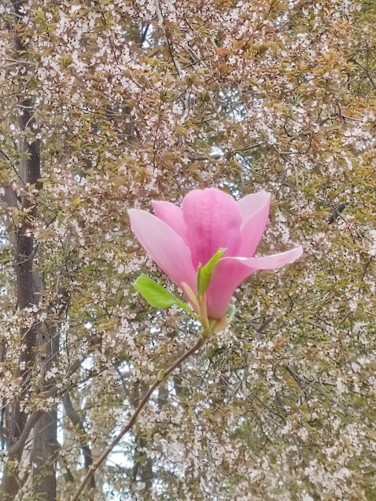 消防实验：切割火星真的会“秒燃” 家人们，最近看到个超震撼的消防实验——切割火星