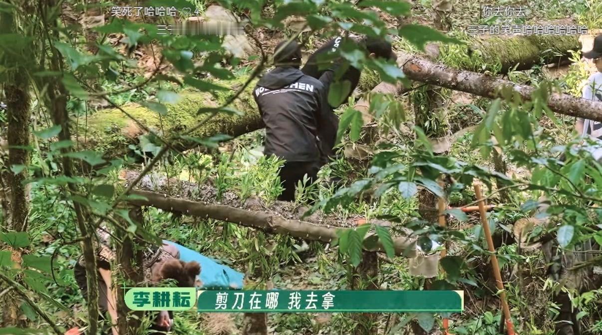 十个勤天不允许任何一个人减肥种地吧 翻看种地吧精彩片段，这段互动反复看都觉得好笑