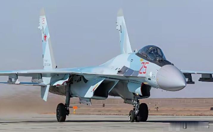 伊朗终于拿到新战机了！不是网上传的48架，是首批16架，其中12架已经停在伊朗的