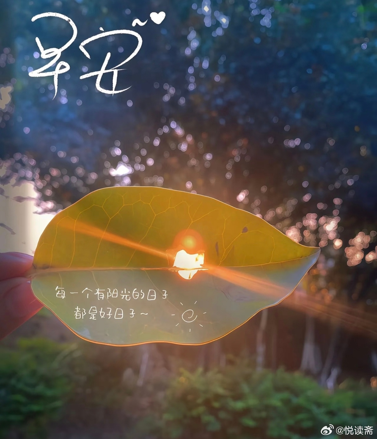  ᴳᴼᴼᴰ ᴹᴼᴿᴺᴵᴺᴳ 🌿每一天都是运气储蓄日，存下好心情，取出好运气。早