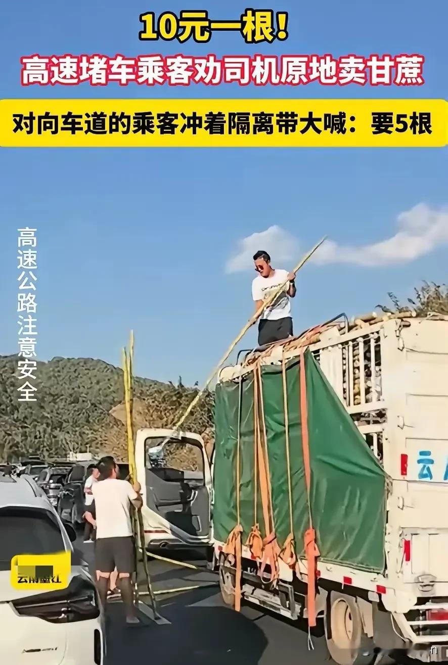 笑死了！云南墨江，一男子拉着一车的甘蔗上高速，没成想，赶上返程高峰期，直接堵在了